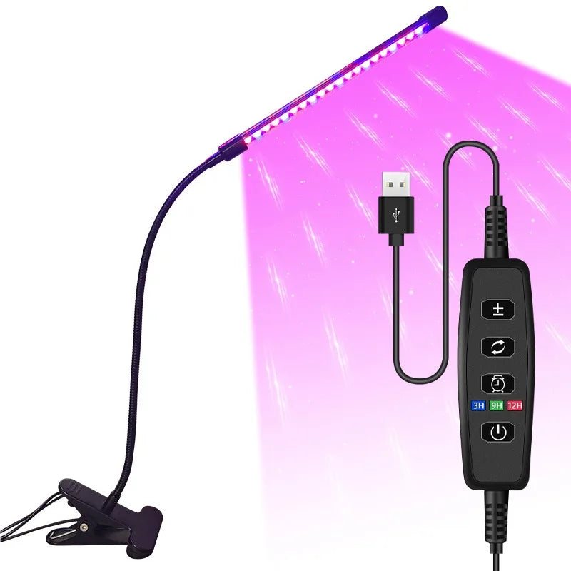 1 Tête 20 LED