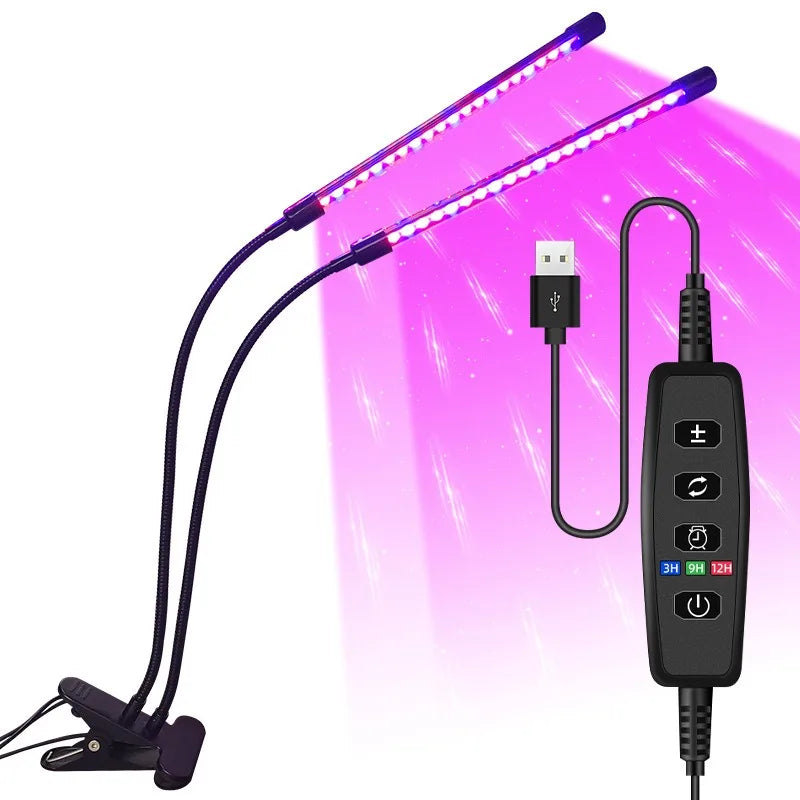 2 têtes 40 LEDS