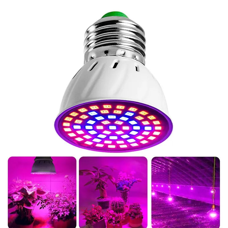 Ampoule LED 220V E27 – 60 LED Spectre Complet pour la Croissance des Plantes en Intérieur (Hydroponie, Serres, Bouturage)