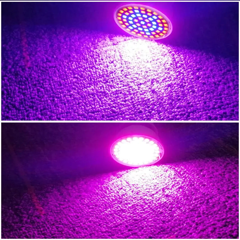 Ampoule LED 220V E27 – 60 LED Spectre Complet pour la Croissance des Plantes en Intérieur (Hydroponie, Serres, Bouturage)