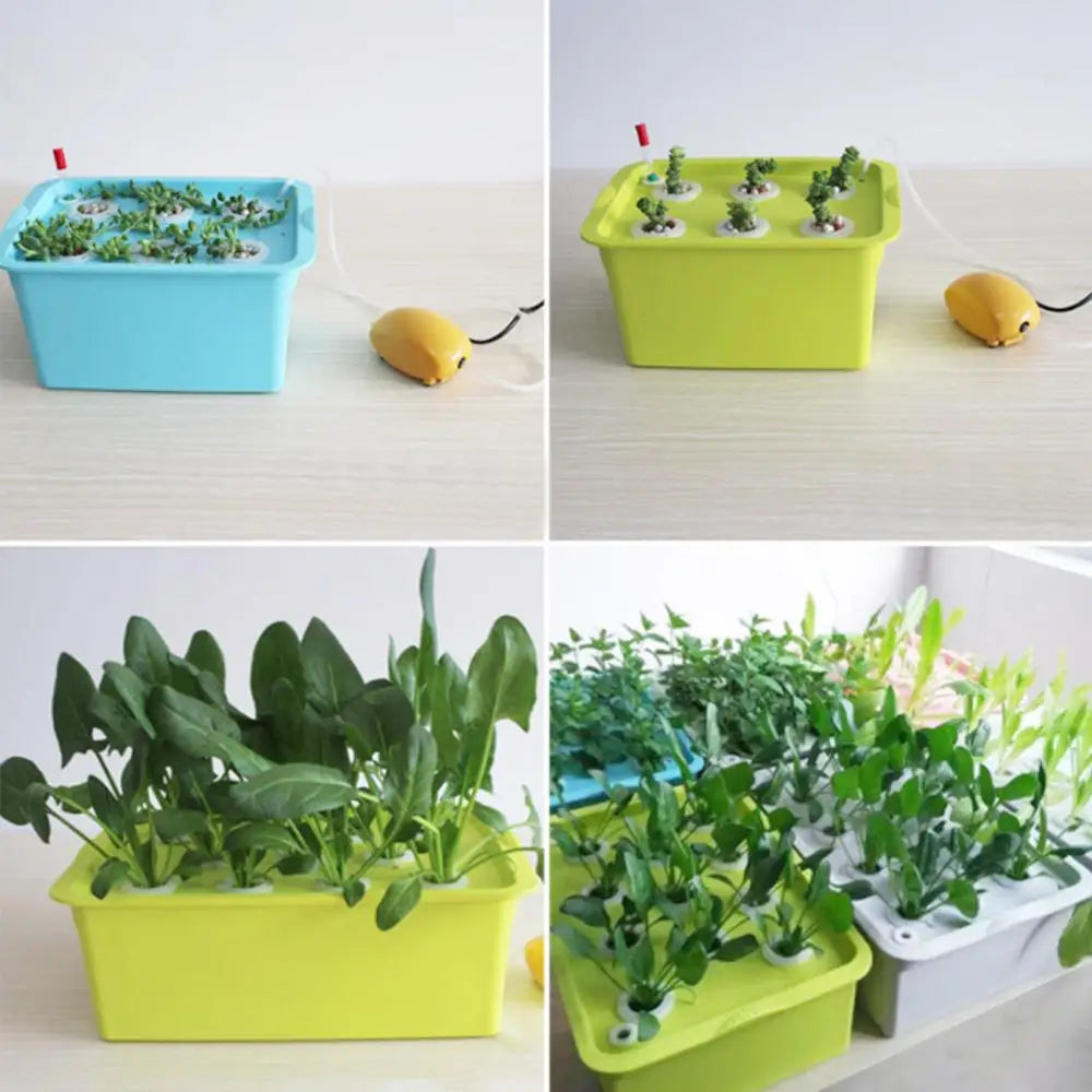 Kit Hydroponique Mini Jardin d’Intérieur.
