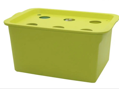 Kit Hydroponique Mini Jardin d’Intérieur.