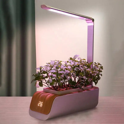 Jardinière Hydroponique Intelligente | Cultivez Menthe, Basilic & Fraise Maison