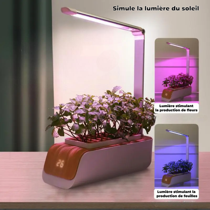 Jardinière Hydroponique Intelligente | Cultivez Menthe, Basilic & Fraise Maison