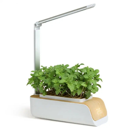 Jardinière Hydroponique Intelligente | Cultivez Menthe, Basilic & Fraise Maison
