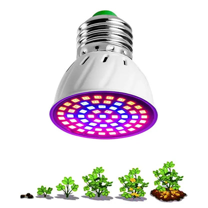 Ampoule LED 220V E27 – 60 LED Spectre Complet pour la Croissance des Plantes en Intérieur (Hydroponie, Serres, Bouturage)
